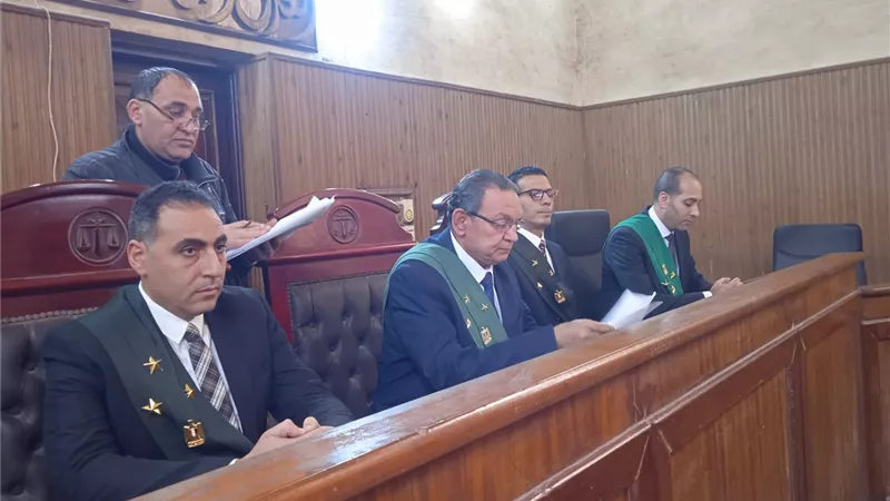 جنايات فوه تقضي بالسجن المشدد 15 سنة للمتهم بقتل محمد شتا