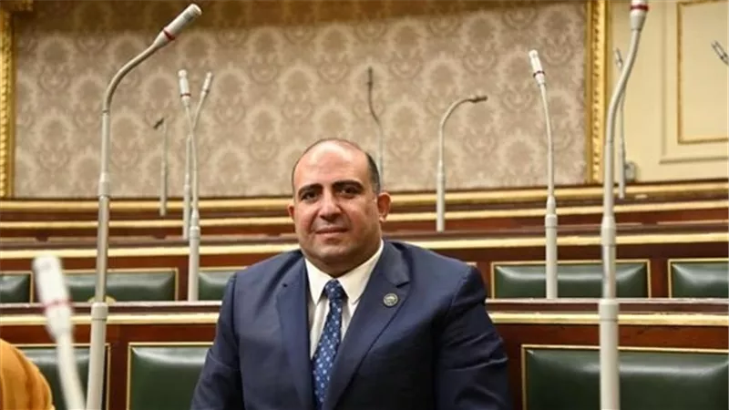 برلماني: 6 أسباب رئيسية تبرز أهمية افتتاح فروع للبنوك المصرية داخل الدول الإفريقية