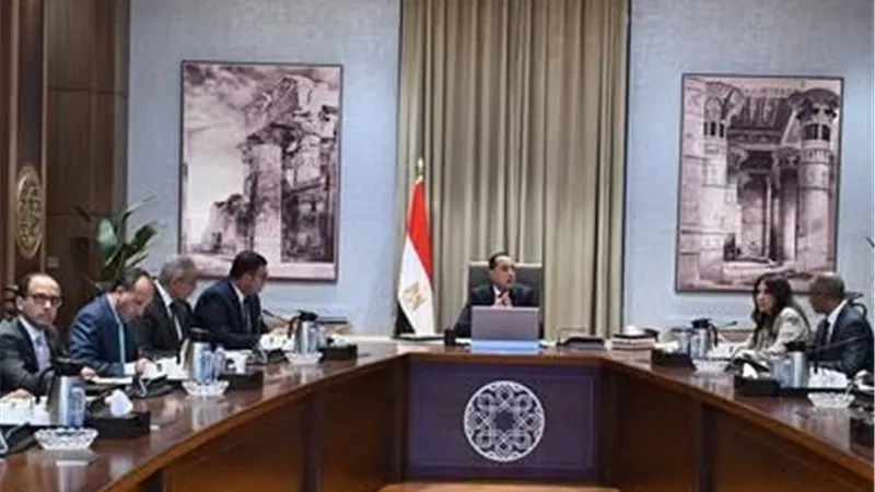 رئيس الوزراء يتابع موقف تنفيذ وتشغيل محطات تحلية المياه في شمال سيناء