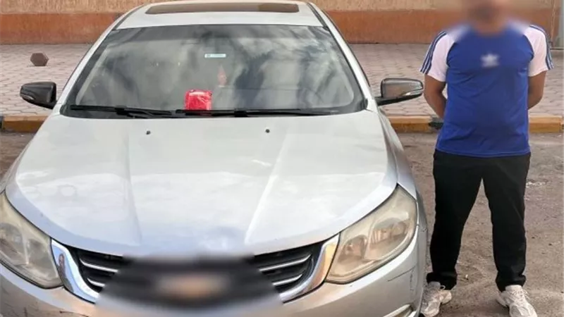 ضبط سائق نقل ذكى وضع طعام مسمم للكلاب الضالة بحدائق الأهرام