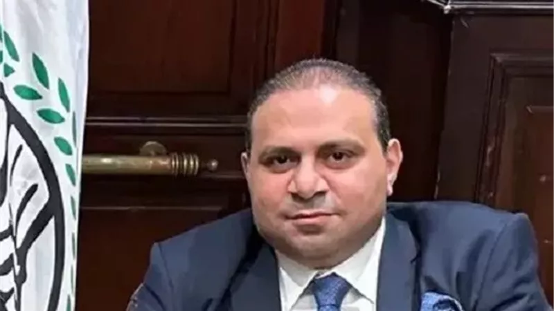  بتمويلات ضخمة.. مكاتب التمثيل التجاري تتحول لمنصات تسويق للاستثمار المصري