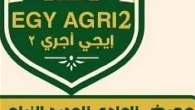 الوادي الجديد تستعد لإقامة معرض التمور السنوي الثاني