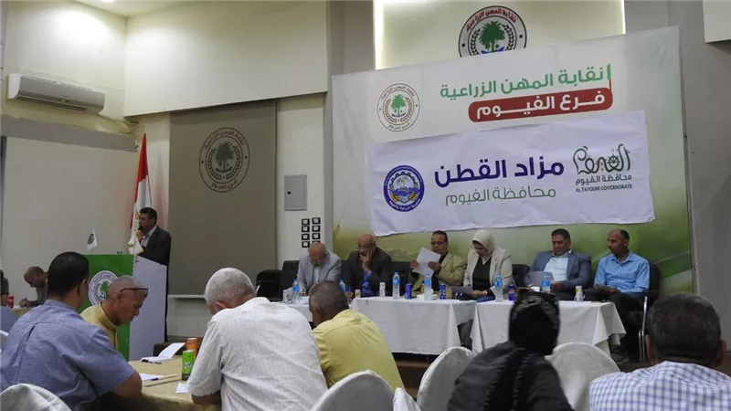 انطلاق ثالث مزاد للقطن في الفيوم بحضور مكثف للمزارعين والتجار