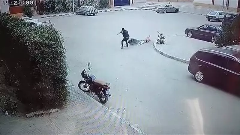 سرقة في وضح النهار.. لص يسحل مسن على المعاش لخطف حقيبته 