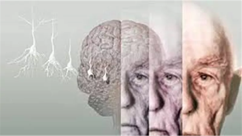 10أطعمة للوقاية من 