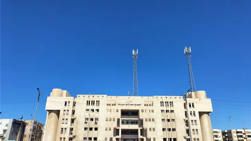 «قطع ودانها».. الحكم بالسجن المشدد على سارق حلق الطفلة «سما» بدمياط