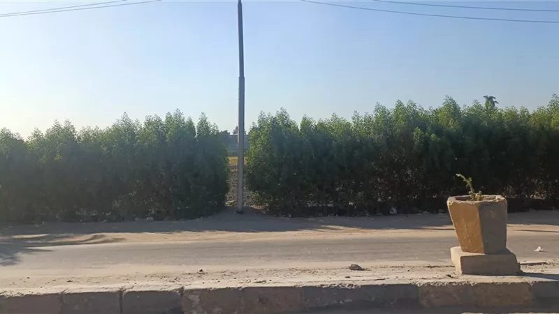 حالة الطقس بالمنوفية اليوم الثلاثاء.. معتدل نهارًا مائل للبرودة ليلا