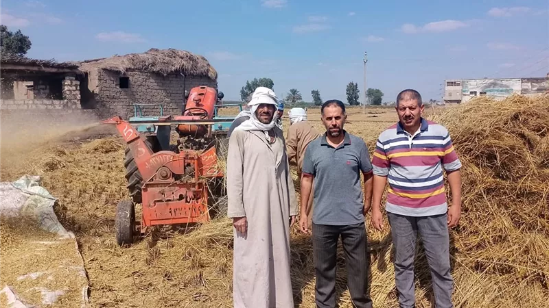 زراعة الشرقية تتابع مواقع تجميع وحصاد محصول الأرز بمركز ديرب نجم