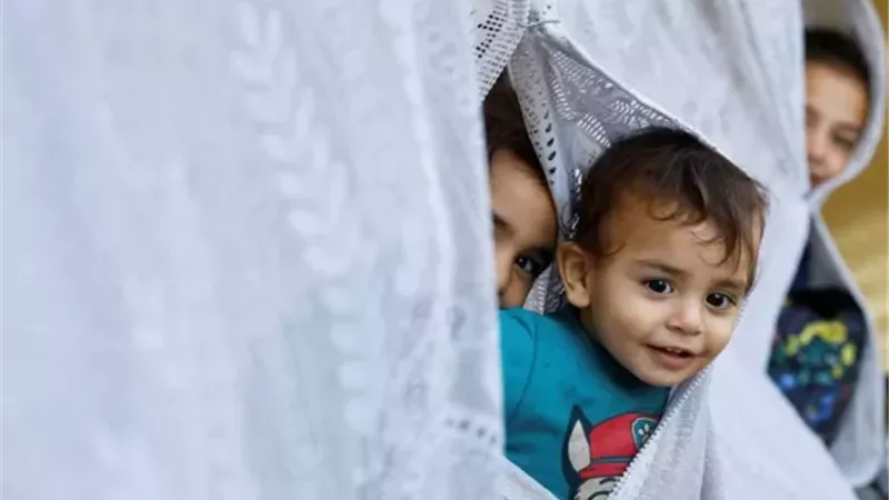 الكتب بدلا من الألم.. مبادرة مصرية لدعم أطفال غزة