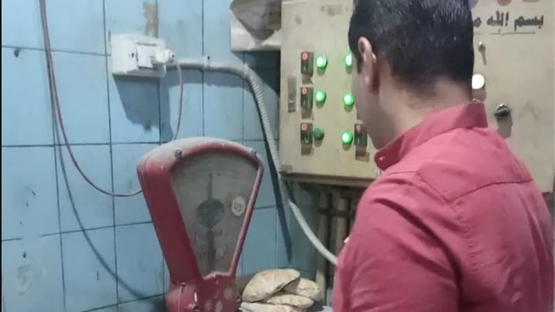 قوت الشعب.. حملات تفتيشية مفاجئة على المخابز البلدية بالزقازيق للتأكد من وصول الدعم لمستحقيه