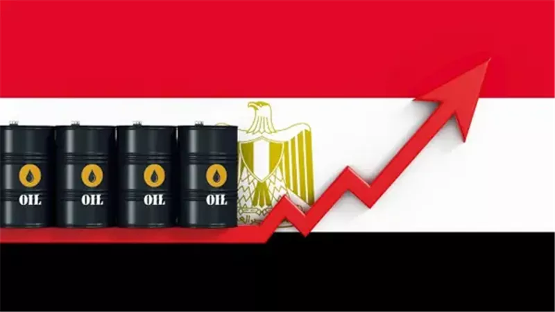 اكتشافات وإنجازات.. كيف أمنت مصر احتياجاتها من الطاقة؟