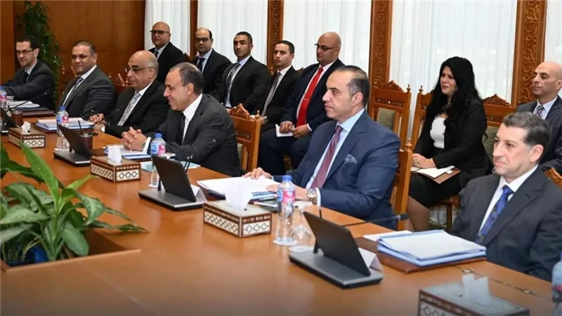 اجتماع لجنة حقوق الإنسان يشيد بجهود السيسي في وقف الحرب على غزة