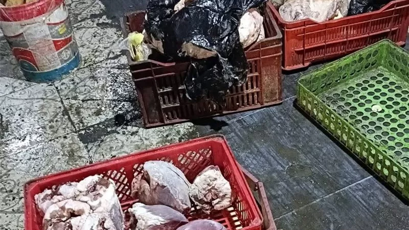 خلال أسبوع.. ضبط 8 أطنان لحوم ودواجن فاسدة بالجيزة