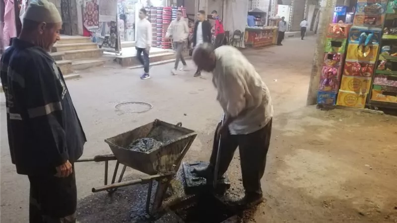  دسوق تستعد لاستقبال المولد الإبراهيمي بحملات مكثفة