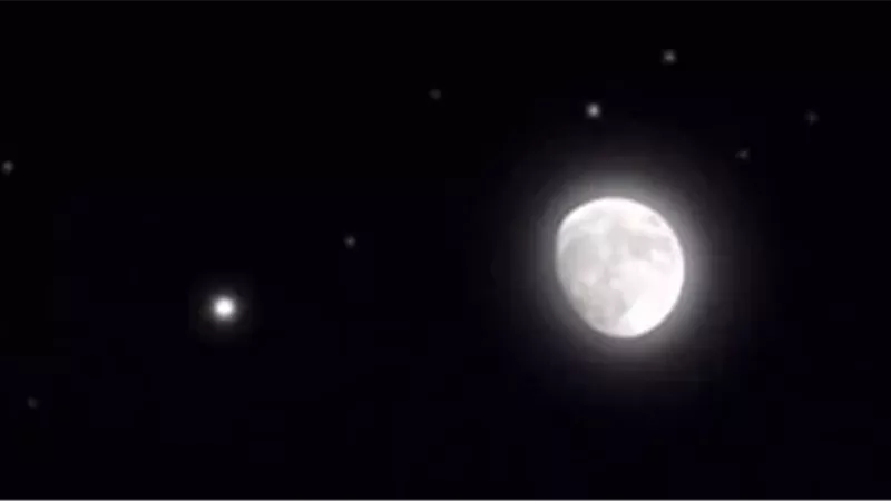 ميكروبات الأرض تستطيع البقاء فوق القمر.. دراسة تؤكد