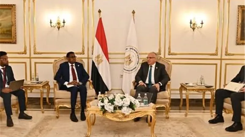 وزير الري يبحث مع وزير صومالي تعزيز التعاون في إدارة الموارد المائية