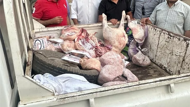المنوفية تشن حملات مكبرة وتضبط لحوم مذبوحة خارج المجازر ودواجن فاسدة