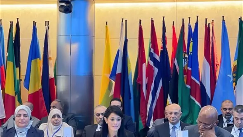 مبادرة دولية لتصنيع الدواء بإفريقيا.. التخطيط: التنفيذ التجريبي في 9 دول