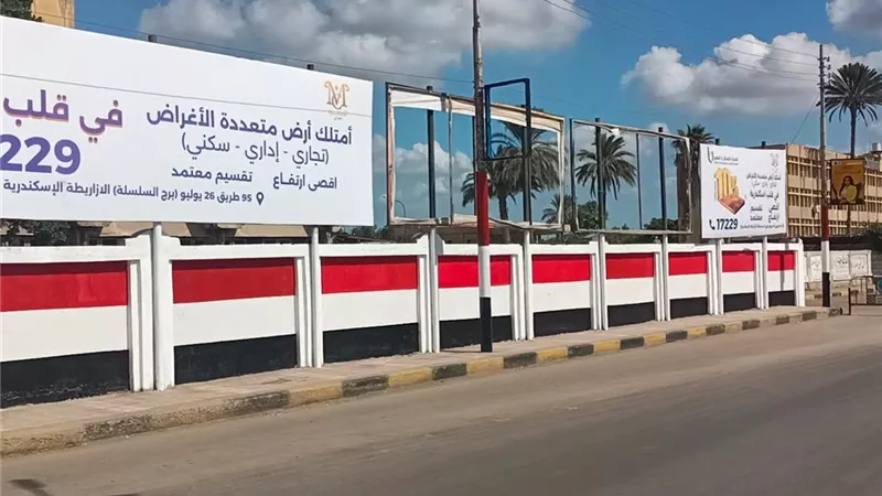  استعدادًا للمولد.. دسوق تواصل حملات النظافة وتهذيب الأشجار ورفع كفاءة الشوارع