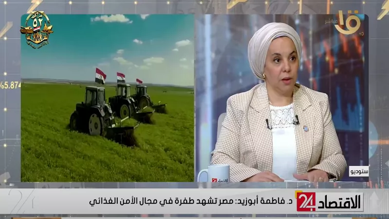 فاطمة أبو زيد: 40% فاقد من محصول الطماطم سنويًا في مصر|فيديو