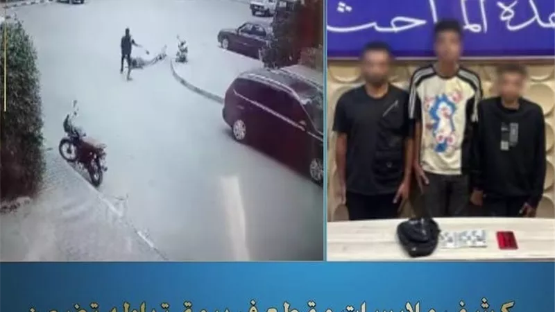 القبض على المتهم بخطف حقيبة وهاتف مسن أثناء سيره بالشارع بمدينة بدر