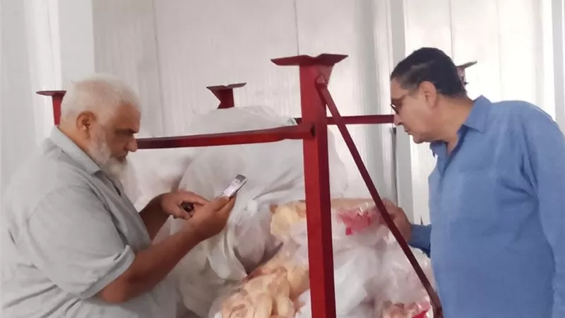 ضبط 15 طن دواجن مجمدة مجهولة المصدر خلال حملات بالشرقية| صور 