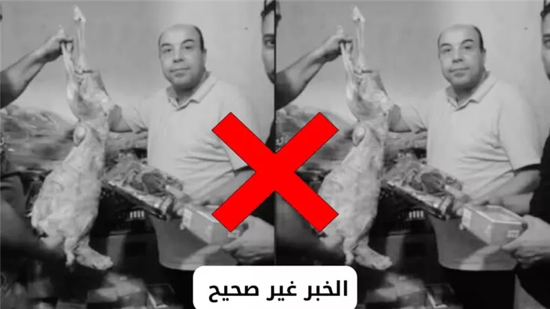 محافظ البحيرة تكشف حقيقة صور متداولة بشأن ضبط محل يبيع لحوم كلاب 