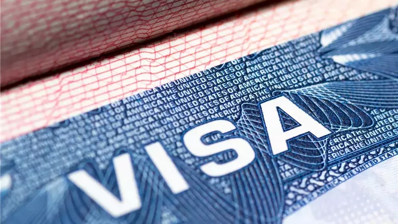  «فيزا» تنقل مركز مبيعاتها الإقليمي من دبي إلى القاهرة وتضاعف موظفيها