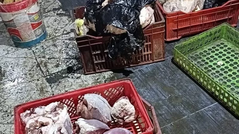 ضبط أكثر من 52 طن لحوم فاسدة داخل ثلاجة بدون ترخيص بالقليوبية