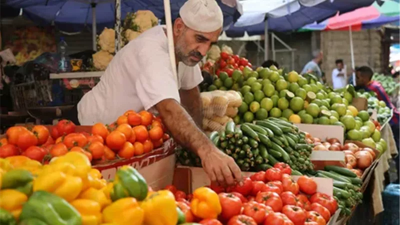 البطاطا والرمان أكثر طلبا..  تصدير 185 ألف طن مواد غذائية خلال أسبوع 