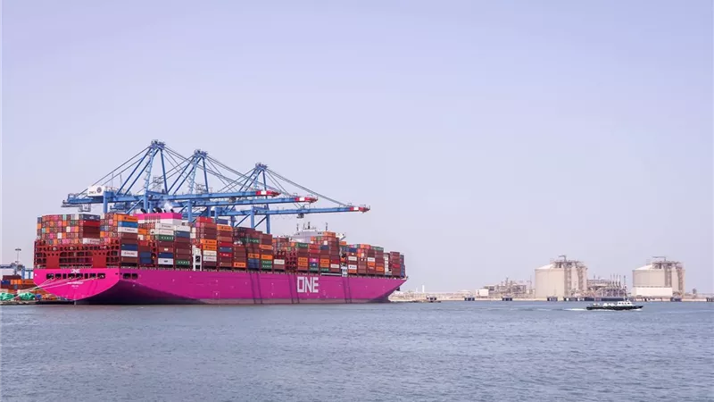 ميناء دمياط يستقبل 22432 طن قمح ويصدر 14600 طن يوريا في 24 ساعة 