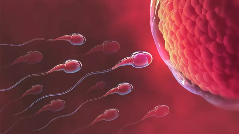 اكتشاف علمي ضد نيوتن.. الحيوانات المنوية تتجاهل قانونا رئيسيا في الفيزياء
