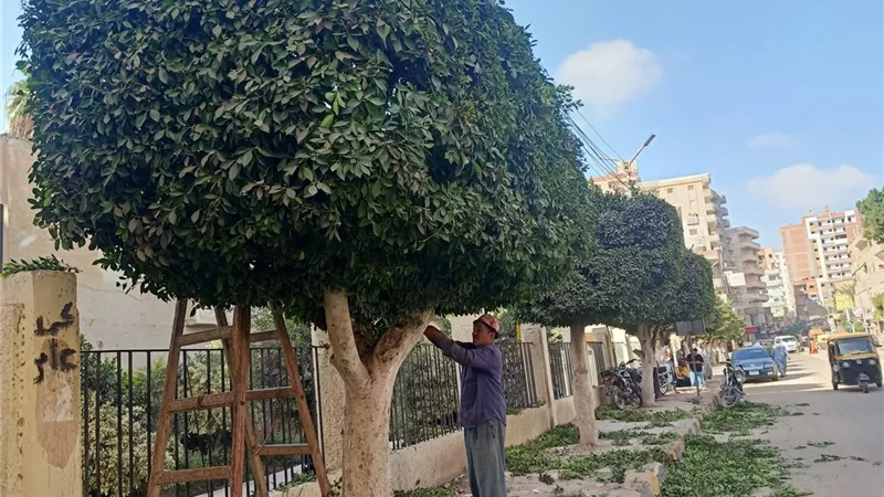 طقس كفر الشيخ.. اليوم مشمس ودرجة الحرارة الصغري 17 والكبري 33 