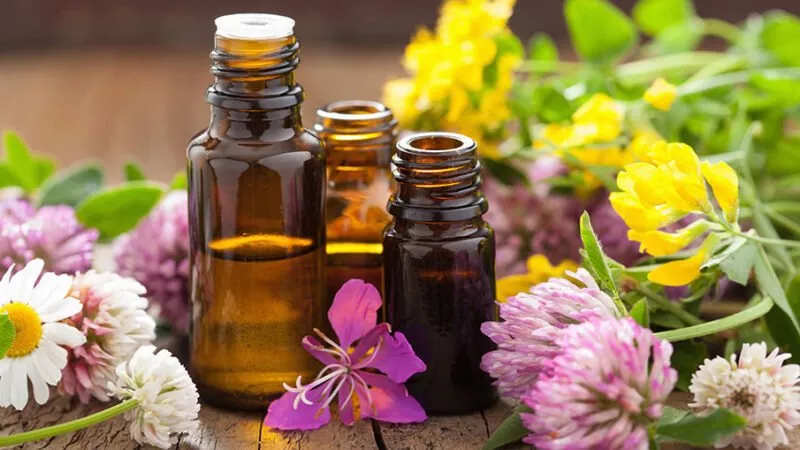 الذهب الأخضر.. مشروع قومي يعيد رسم الخريطة الزراعية في مصر