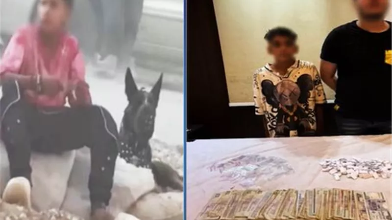 كلب وطفل يروجان لتجارة المخدرات في شبرا