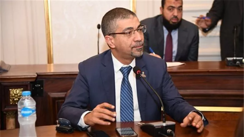  البدري: الرئيس السيسي أعاد تعريف مفهوم الحرب من السلاح إلى الوعي
