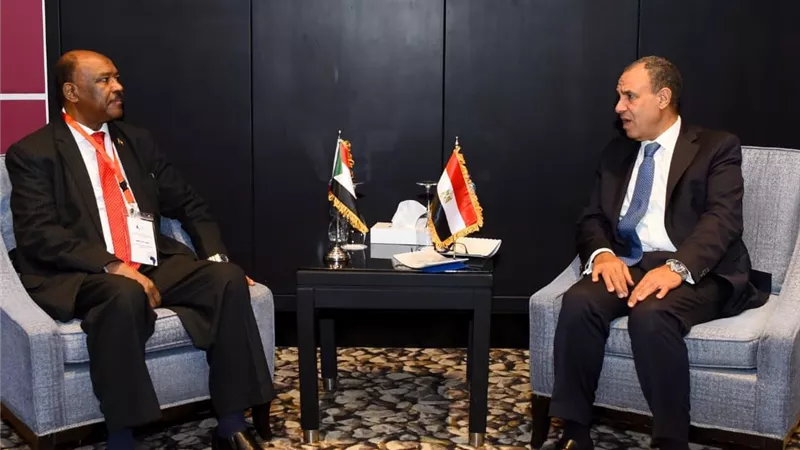 وزير الخارجية: مصر تنخرط بصورة فاعلة في جهود وقف حرب السودان 