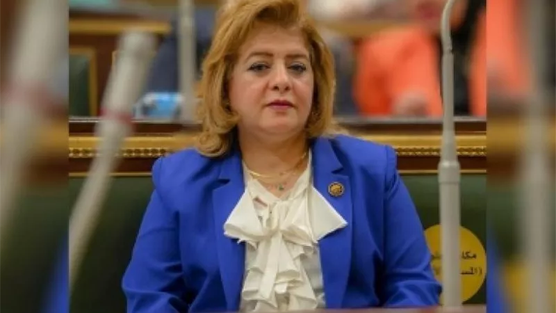 عضو بـ«خارجية النواب»: السيسي أعاد تعريف مفهوم السلام