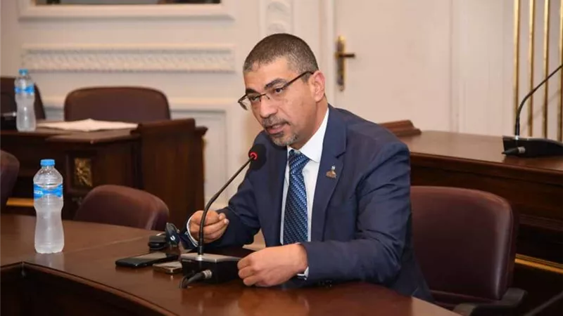 برلماني: رؤية السيسي حولت التحديات إلى فرص وجعلت مصر شريكًا استراتيجيًا
