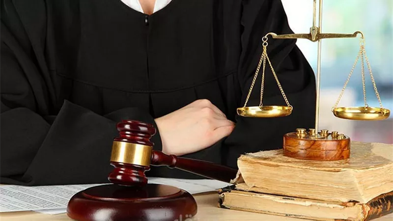 شروط قيد المحامين تحت التمرين وحقوقهم وواجباتهم خلال فترة التدريب