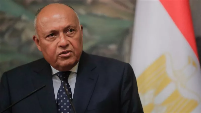 سامح شكري: مصر تتضامن مع الدول العربية لحماية الأمن القومي