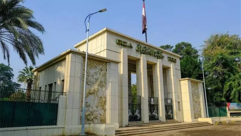«جزيرة الجبلاية».. طراز عالمي يُجمل حديقة الحيوان في رونقها الجديد | خاص