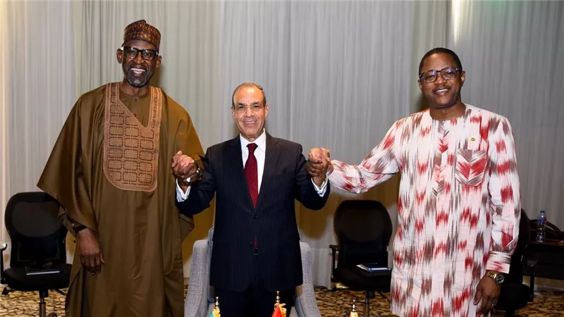 وزير الخارجية: مصر تدعم جهود مالي وبوركينا فاسو في مكافة الإرهاب 