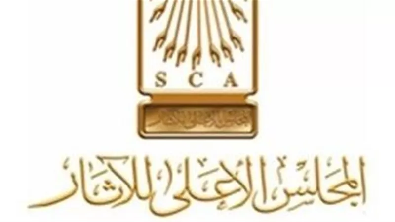 هاني عامر رئيسًا للجنة الانضباط بالمجلس الأعلى للآثار