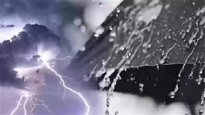 «خلي بالك» .. الأرصاد تحذر: برودة ليلية ملحوظة تسبق بدايات الشتاء| فيديو