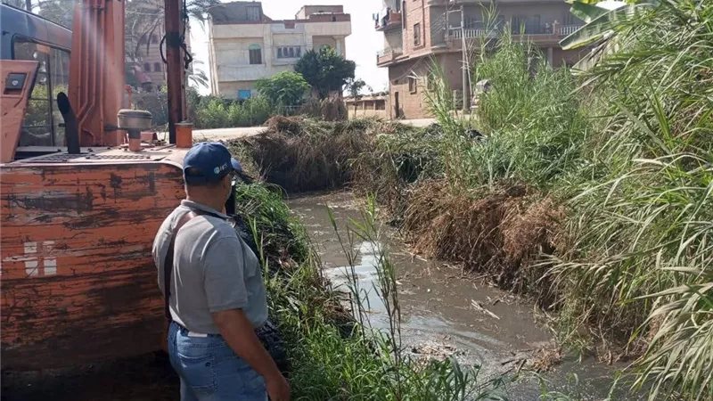 وكيل زراعة كفر الشيخ يتابع عملية صرف الأسمدة الزراعية والمرور على المحاصيل الزراعية 