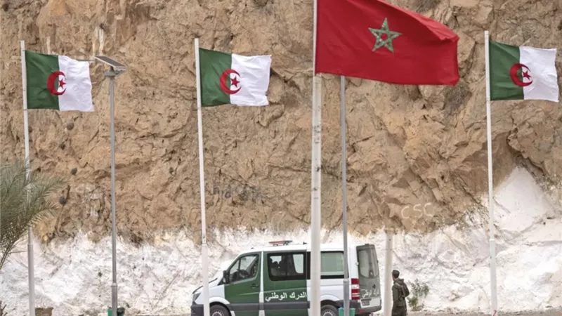 بعد إعلان ويتكوف الوساطة.. خبير جزائري لـ«إيجبتك»: المغرب العربي «مستهدف»