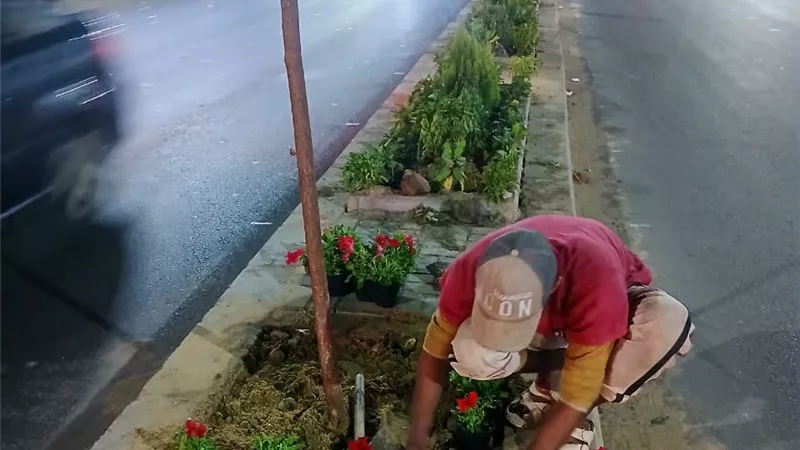 بعد موجة جدل.. البدء في زراعة الجزيرة الوسطى بنطاق مشروع توسعة طريق أبو قير بالإسكندرية | صور