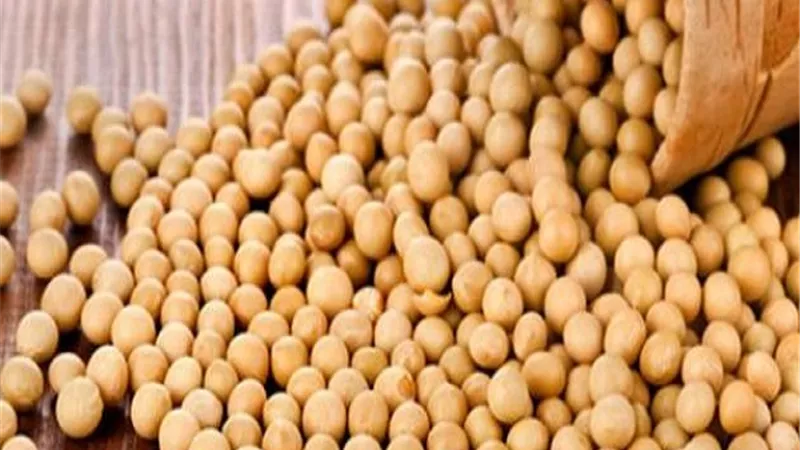  أسعار الحبوب في الأسواق المصرية اليوم الجمعة 21 نوفمبر 2025 