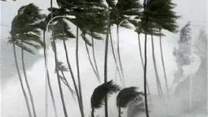 عاصفة عنيفة تضرب ولنجتون وتتسبب بمقتل رجل وسقوط أشجار وتعطل الرحلات الجوية